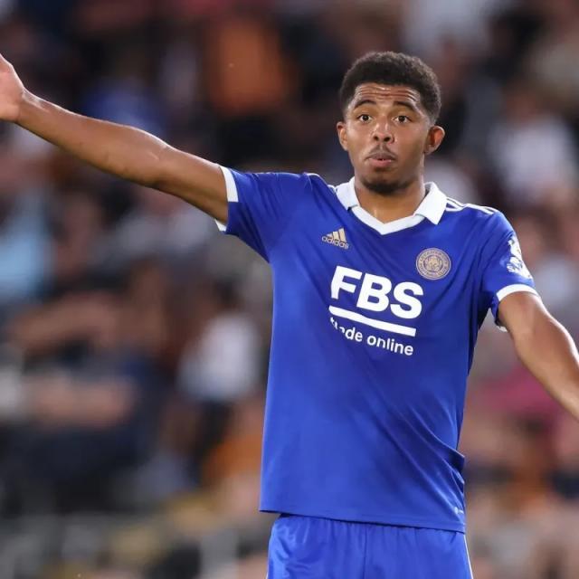 1660088605580064805.jpg 法弗纳.webp.jpg